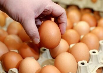 Apakah Makan Telur Bikin Kolesterol Tinggi? Berikut ini Faktanya
