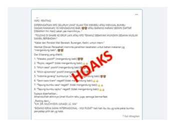 Bahaya Ibu Ibu dan Bapak Bapak Main Fb Karena Hoaks