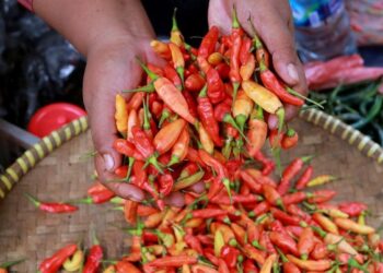 Makan Pedas Ternyata Bikin Panjang Umur