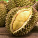 Durian dan Kolesterol: Meninjau Mitos dan Fakta