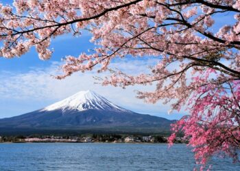 Pembatasan dan Tarif Baru di Gunung Fuji Karena Banyak Sampah