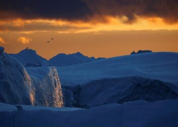 Peringatan 15.000 Ilmuwan: Kiamat Dekat Akibat Perubahan Iklim