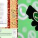 Waspadai Penipuan Baru WhatsApp: Menkominfo Beri Peringatan