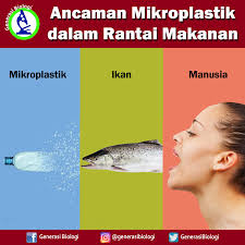 Mikroplastik: Ancaman Tersembunyi Bagi Manusia dan Hewan
