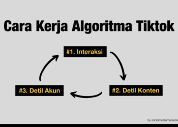 Algoritma TikTok: Mengapa Beberapa Video Sulit FYP?