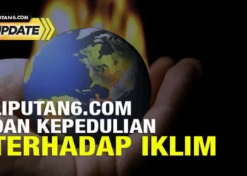 Bagaimana Mencegah Krisis Iklim: Langkah-Langkah Konkrit