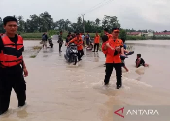 Hujan Deras Picu Banjir di Lampung Selatan: Himbauan BPBD