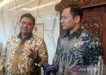 Jika Prabowo-Gibran Menang: Jokowi dapat Peran