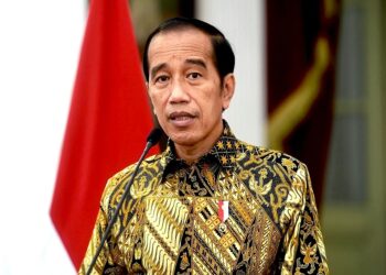 Jokowi: Perjalanan Politik dan Kepemimpinan