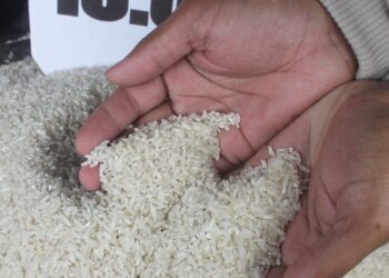 Kenapa Harga Beras Bisa Naik Padahal Indonesia Banyak Petani?