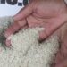 Kenapa Harga Beras Bisa Naik Padahal Indonesia Banyak Petani?