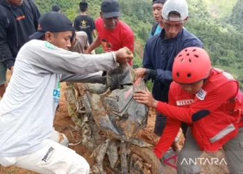 Korban Longsor Luwu Sulawesi Selatan: Masih Upaya Pencarian