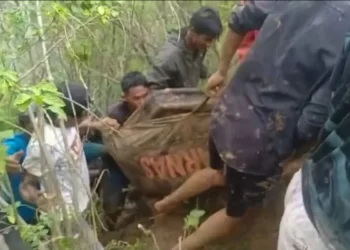 Korban Longsor di Luwu: Tragedi yang Mengguncang