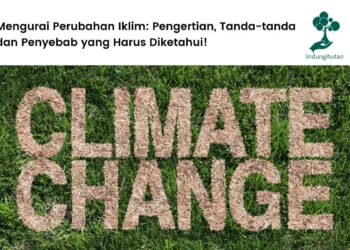 Rahasia Tersembunyi: 6 Penyebab Krisis Iklim yang Tak Terduga