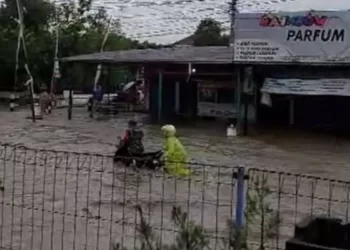 Banjir Besar Kembali Melanda Kabupaten Grobogan Jawa Tengah