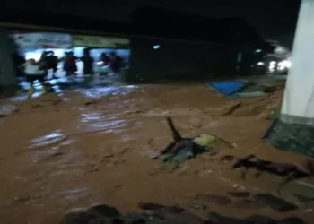 Evakuasi Darurat: Banjir Bandang Melanda Desa di Pekalongan