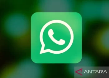 Fitur Baru WhatsApp: Pin Pesan Lebih dari Satu dalam Obrolan!