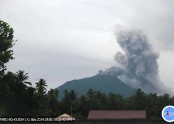 Gunung Ibu Kembali Meletus: Mengeluarkan Abu Vulkanik Tinggi