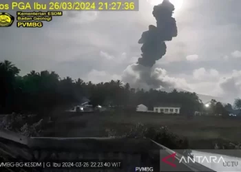 Gunung Ibu Meletus: Abu Vulkanik Setinggi 2,8 Kilometer