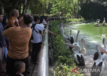 Jam Operasional Taman Margasatwa Ragunan Selama Ramadhan