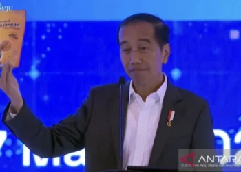 Jokowi Apresiasi Produk UMKM: Kerupuk Rajungan 'Mama Muda'