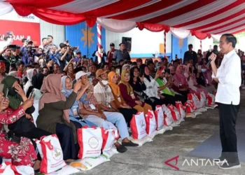 Jokowi: Bantuan Beras 10 Kilogram Berlanjut Hingga Akhir Tahun