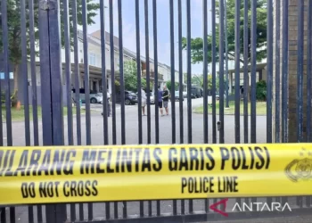 Ledakan Gudang Amunisi Daerah di Bogor: Respons Pemerintah