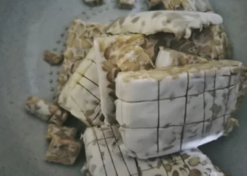 Tempe: Warisan Kuno yang Tetap Relevan di Era Modern