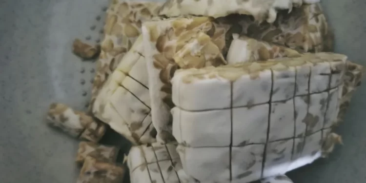 Tempe: Warisan Kuno yang Tetap Relevan di Era Modern