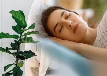 Tidur Siang: Solusi Cegah Lemas saat Puasa Ramadan