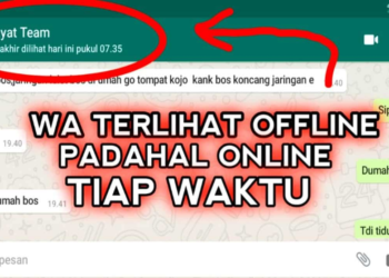 Tips Menyamar di WhatsApp: Cara Terlihat Offline Meskipun Online