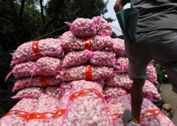 Bukti Nyata Indonesia Sering Impor Bawang Putih dari China