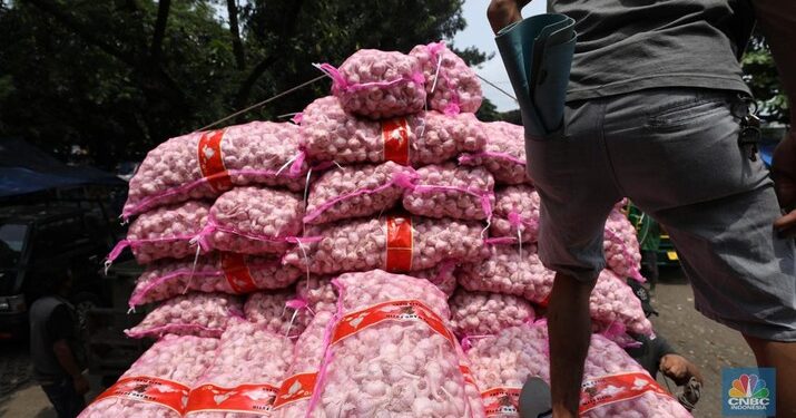 Bukti Nyata Indonesia Sering Impor Bawang Putih dari China