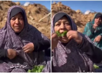 Demi Bertahan Hidup Warga Gaza Rela Makan Rumput Liar