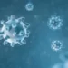 Kasus Pertama Infeksi Virus B pada Manusia di Hong Kong