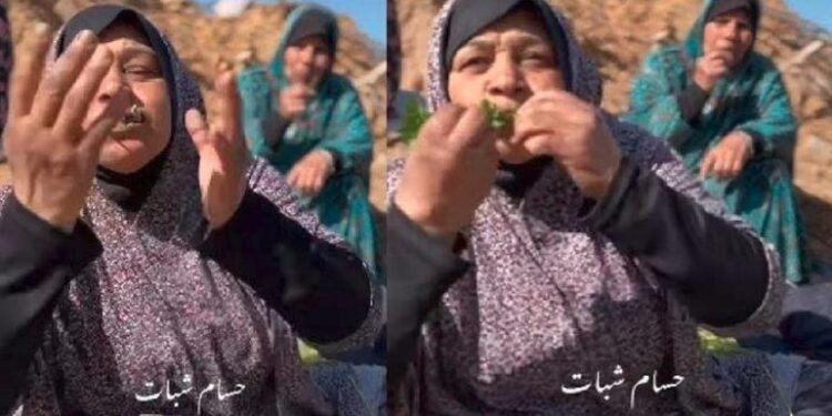 Mirisnya Warga Gaza Makan Rumput Liar Demi Bertahan Hidup