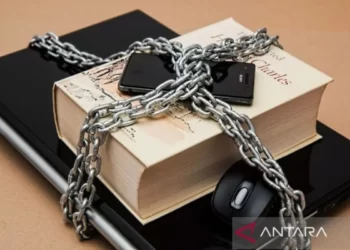 OJK Bagikan Tips Transaksi Keuangan Aman di Platform Digital