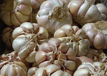 Peningkatan Drastis Impor Bawang Putih dari China