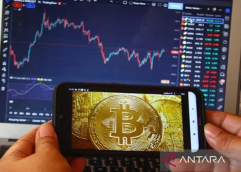 Dinamika Halving Bitcoin: Tidak Ada Jaminan Kenaikan Harga