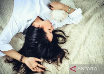 Manfaat Power Nap untuk Kesehatan Selama Arus Mudik Lebaran. Dalam menghadapi arus mudik Lebaran 2024, praktisi kesehatan masyarakat