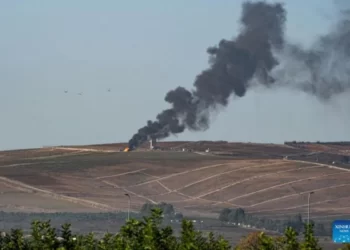 IDF Klaim Tewaskan Pejabat Senior Jamaah Islamiyah Lebanon