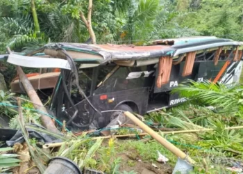 Kecelakaan Bus Study Tour di Lampung: Enam Orang Luka Berat