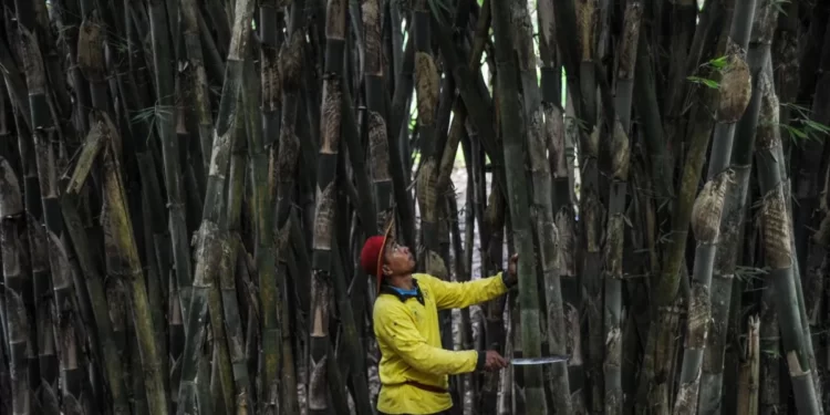 Upaya Menyelamatkan Bumi dari Film Kungfu Panda