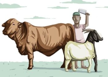 Bolehkah Beli Hewan Kurban Pakai Pinjol?