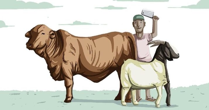 Bolehkah Beli Hewan Kurban Pakai Pinjol?