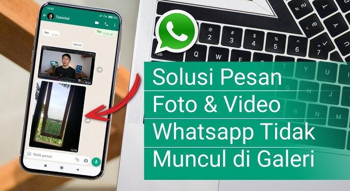 Solusi Foto WhatsApp Hilang dari Galeri HP