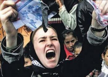 Wanita Pembela Palestina Tewas Digilas Buldoser Israel