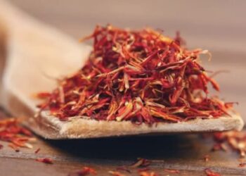 Rempah Mahal dari Indonesia yang Menarik Perhatian Dunia