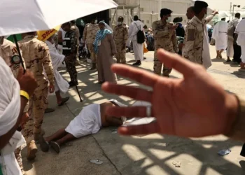 Lebih dari 1.000 Jemaah Haji Meninggal Akibat Cuaca Panas