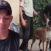 Security Pukul Anjing PI Minta Maaf dan Putus Kontrak Vendor